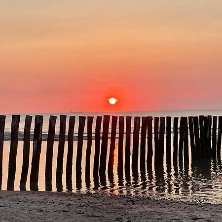 Cap A La * サンガット